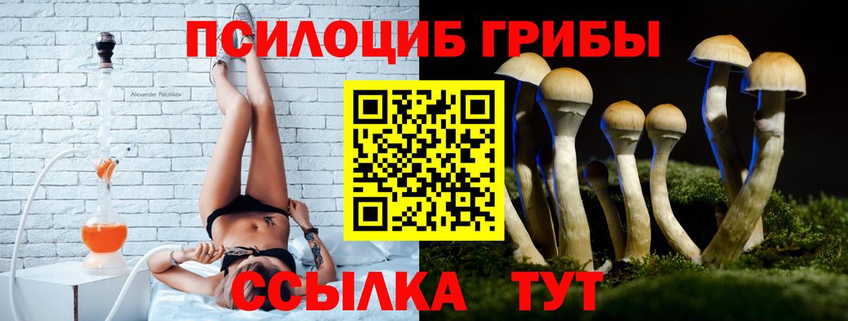 Алейск  Псилоцибиновые грибы Magic Shrooms  Галлюциногенные грибы ЛСД  Вход с VPN 