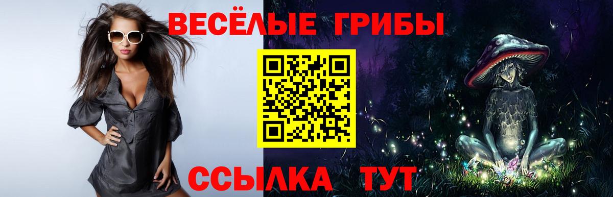 Псилоцибиновые грибы MAGIC MUSHROOMS Алейск
