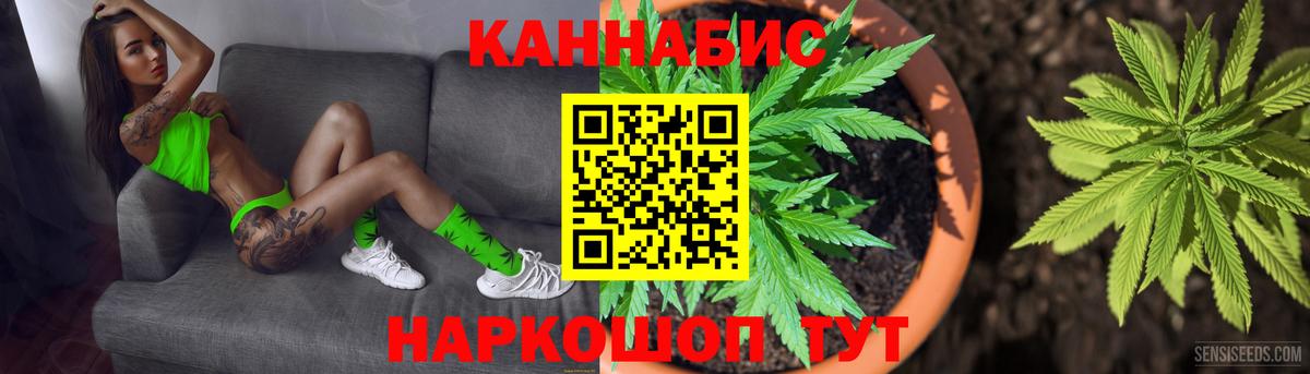 Бошки Шишки планчик  МАРИХУАНА OG Kush  Алейск  Вход с VPN  Конопля конопля 
